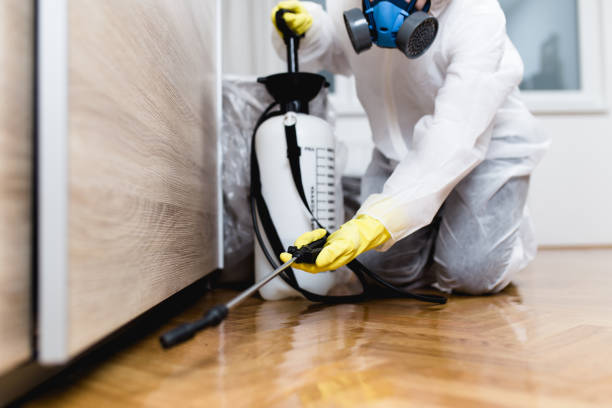 Pest Control Cost in Show Low, AZ