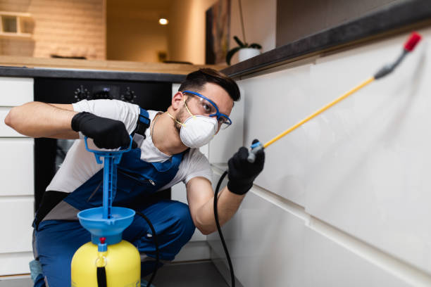 Best Best Pest Control Companies  in Show Low, AZ