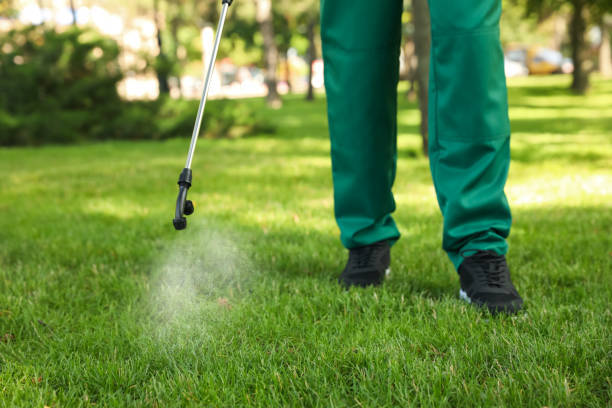 Show Low, AZ Pest Control Company