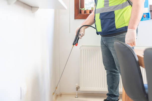 Best Mosquito Control Services  in Show Low, AZ